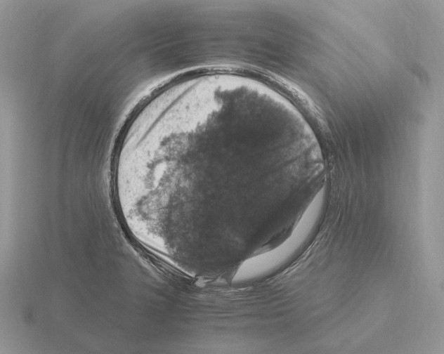 X0000115371327200912151411