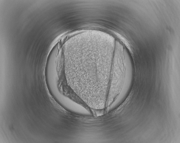 X0000115371330200912151411