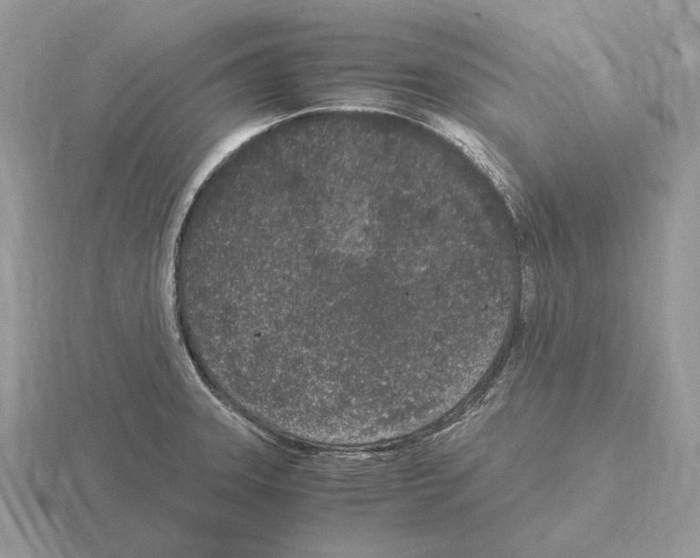 X0000115371331200912151411