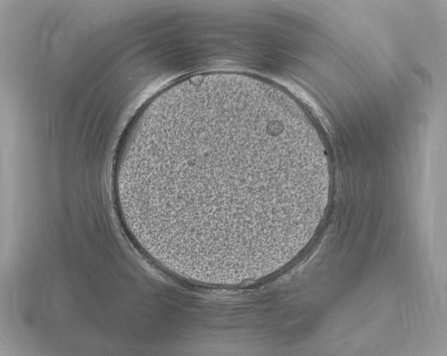 X0000115371333200912151411