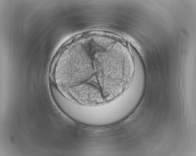 X0000115371334200912151411