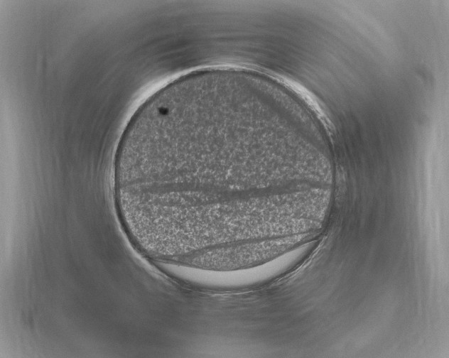 X0000115371335200912151411