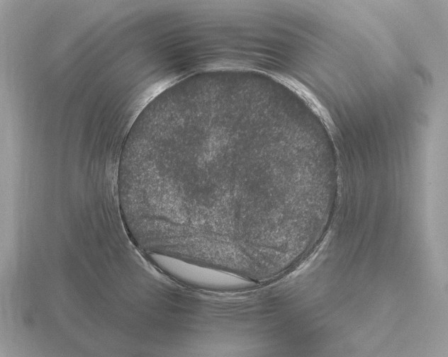 X0000115371337200912151411