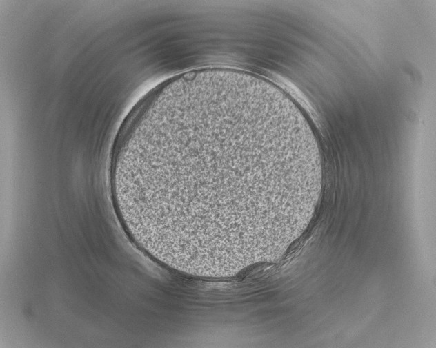 X0000115371339200912151411