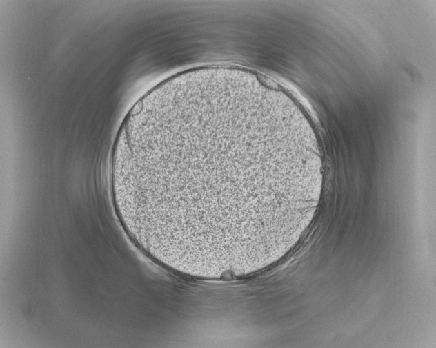 X0000115371343200912151411