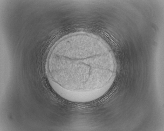 X0000115371345200912151410