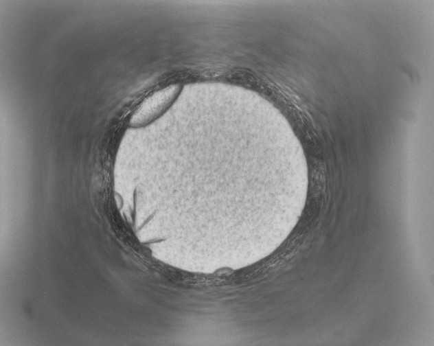 X0000115371349200912151410