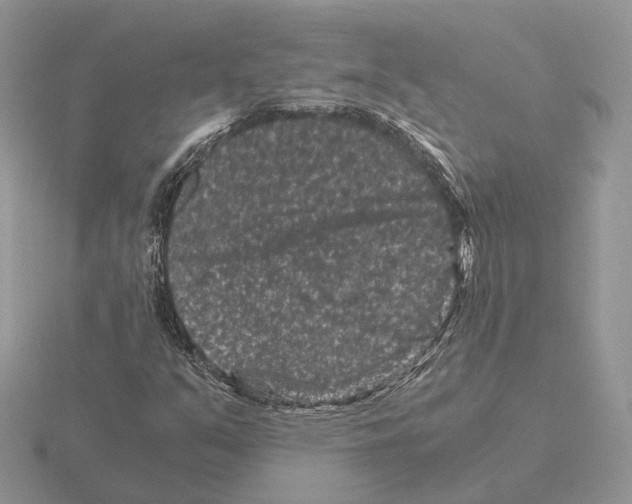 X0000115371351200912151410