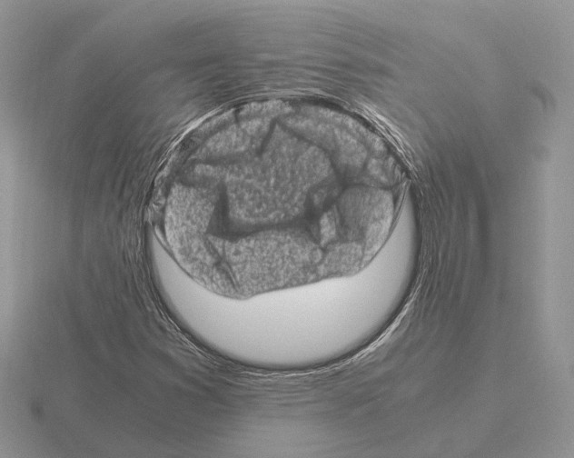 X0000115371353200912151410