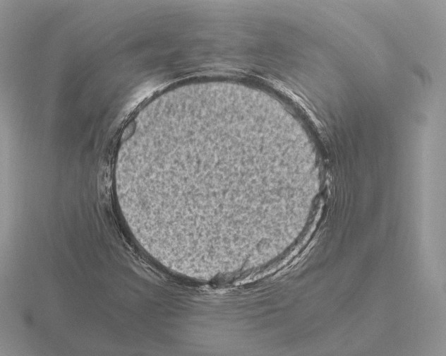 X0000115371355200912151410