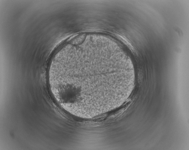 X0000115371356200912151410