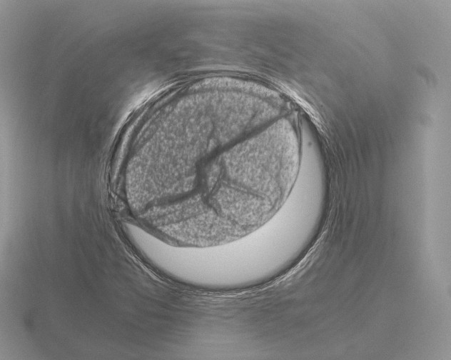 X0000115371357200912151410