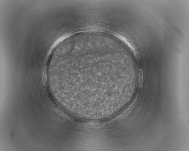 X0000115371358200912151410