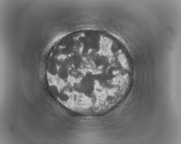 X0000115371359200912151410