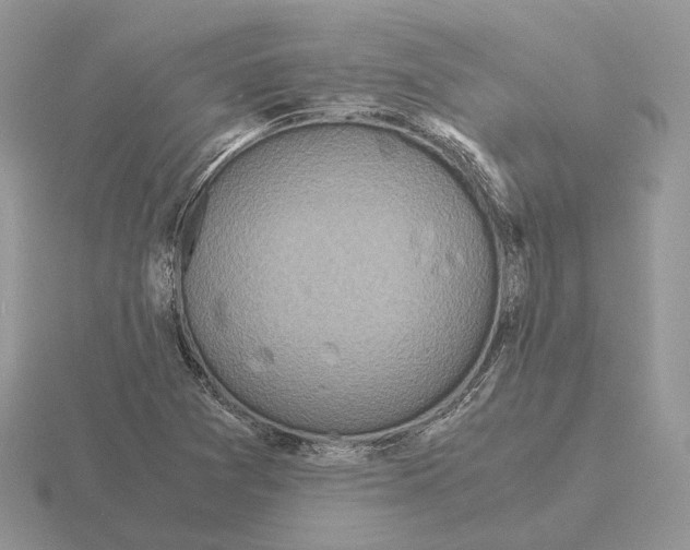 X0000115371361200912151410