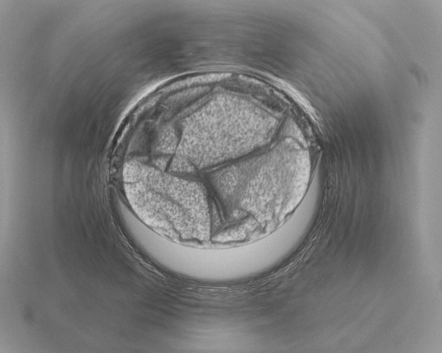 X0000115371364200912151410