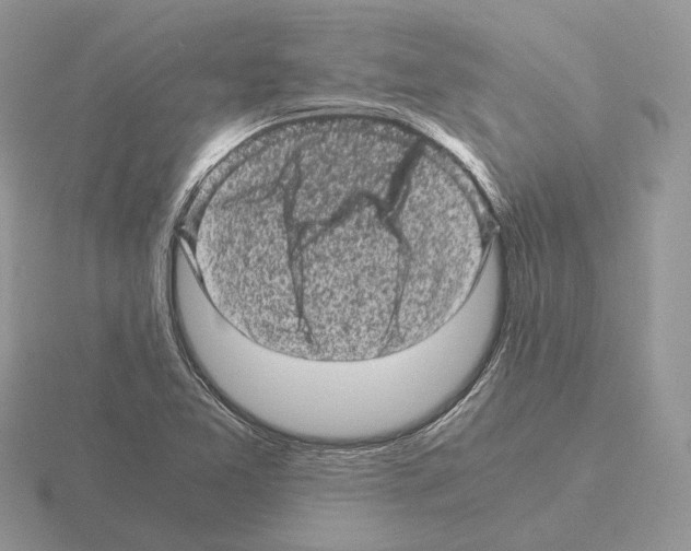 X0000115371365200912151410