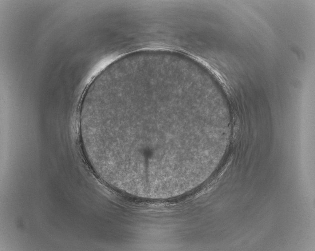 X0000115371367200912151410