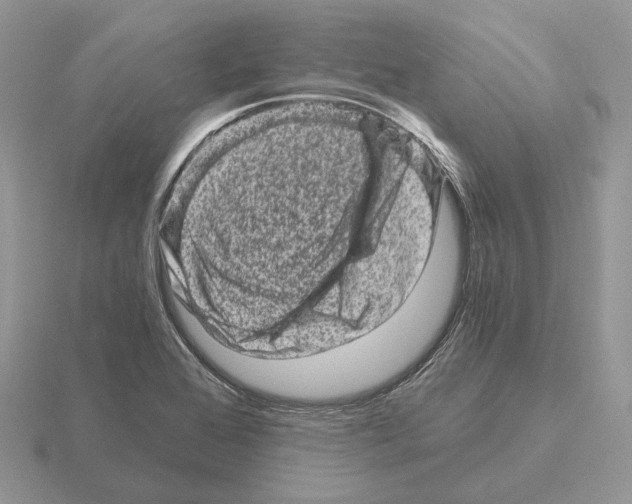 X0000115371368200912151410