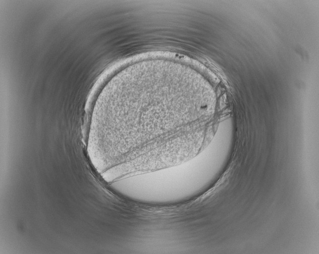 X0000115371369200912151410