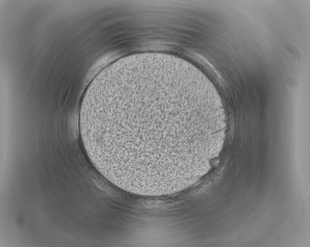 X0000115371370200912151410