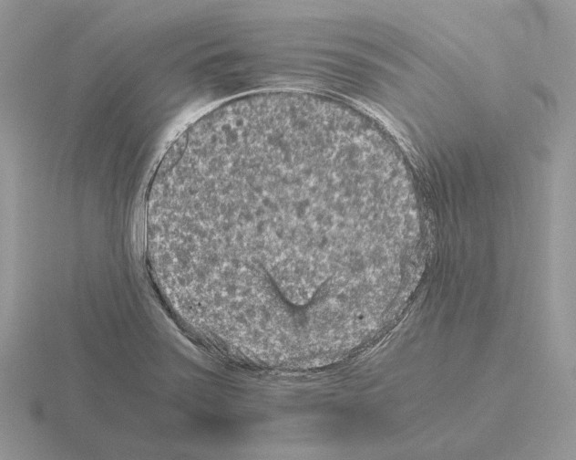 X0000115371371200912151410