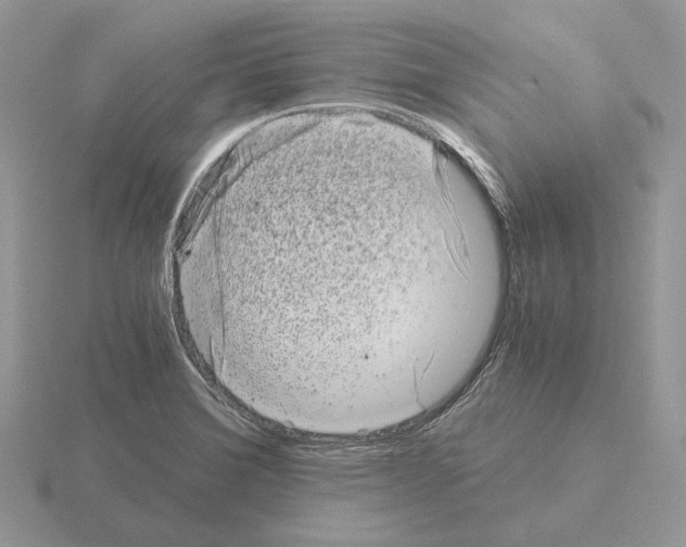 X0000115371372200912151410