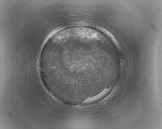 X0000115371373200912151410