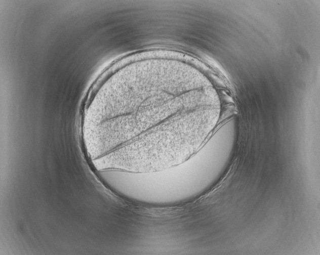 X0000115371376200912151410