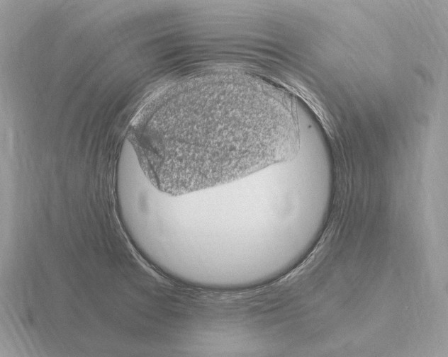 X0000115371377200912151410