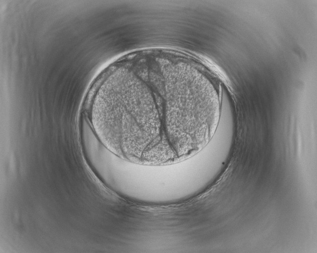 X0000115371380200912151410