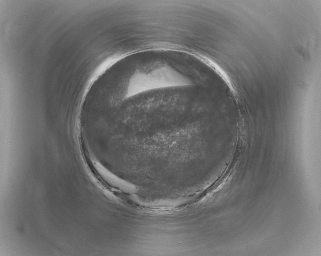 X0000115371381200912151410