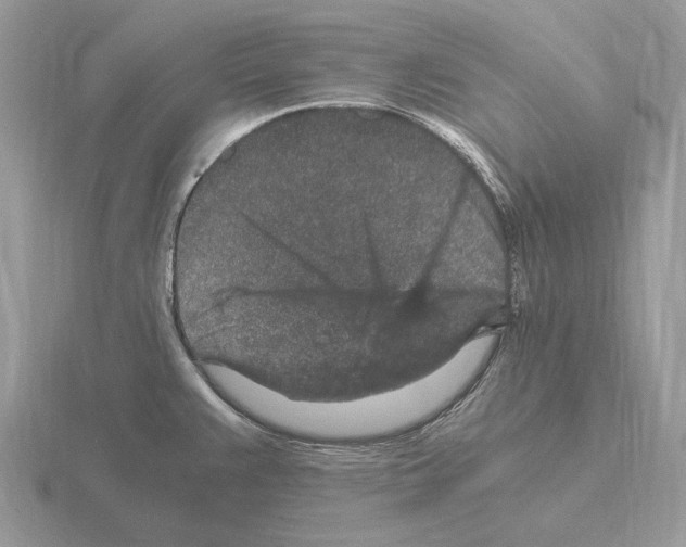 X0000115371383200912151410