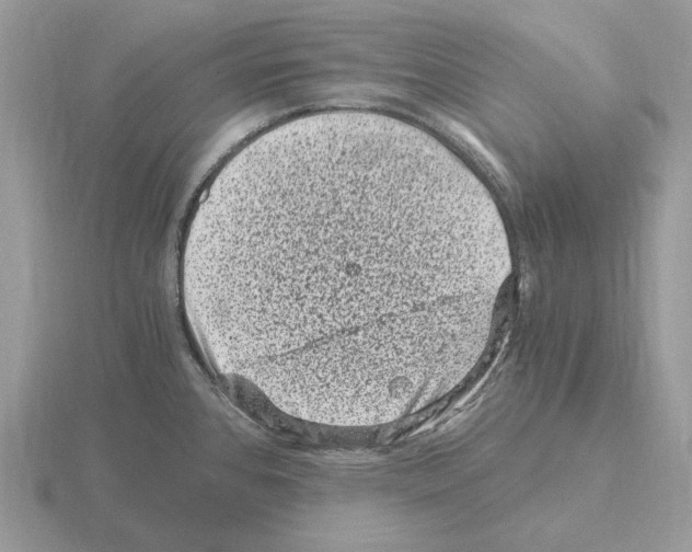 X0000115371384200912151410