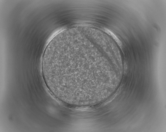 X0000115371386200912151410