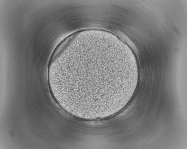 X0000115371388200912151410