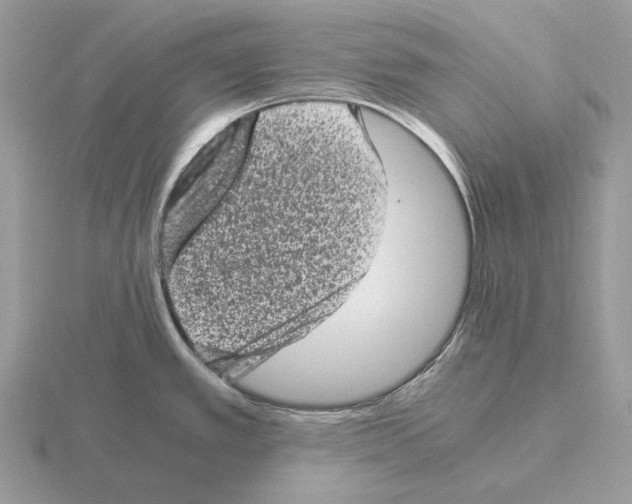 X0000115371389200912151410