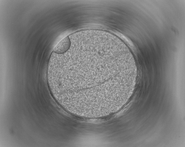 X0000115371390200912151410