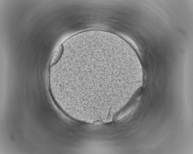 X0000115371391200912151410