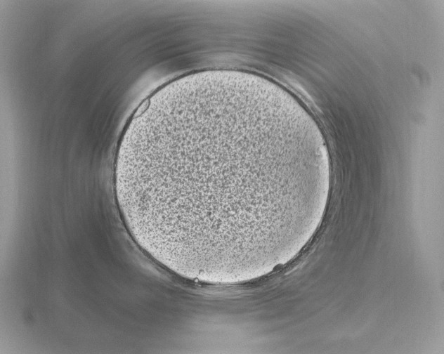 X0000115371392200912151410