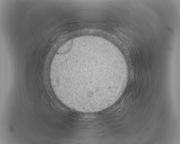 X0000115371393200912151409