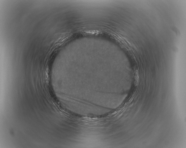 X0000115371394200912151409