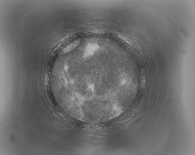 X0000115371397200912151409