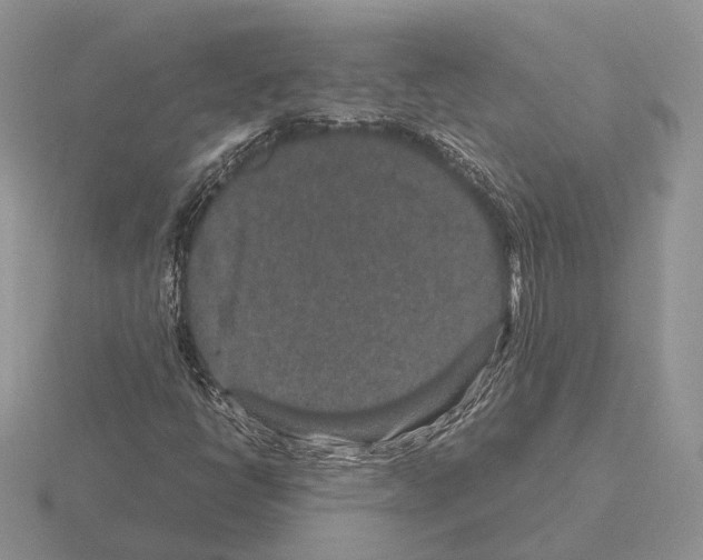 X0000115371398200912151409