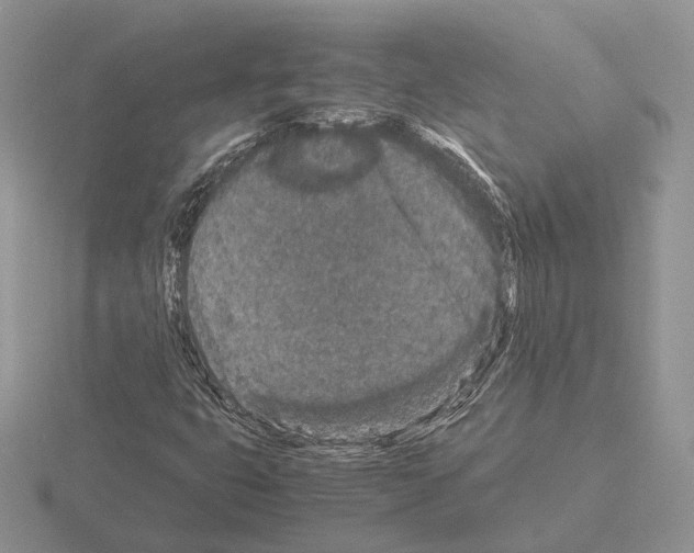 X0000115371399200912151409