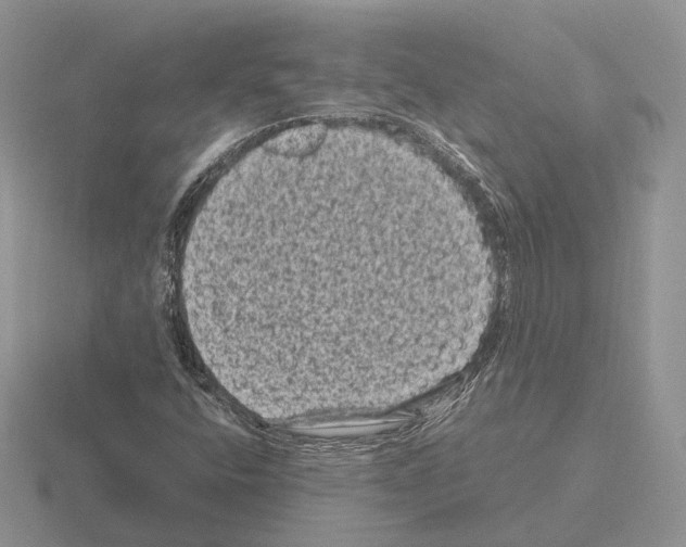 X0000115371400200912151409