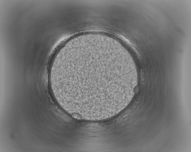 X0000115371408200912151409