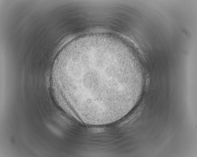 X0000115371409200912151409