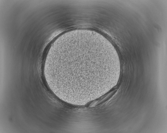 X0000115371410200912151409