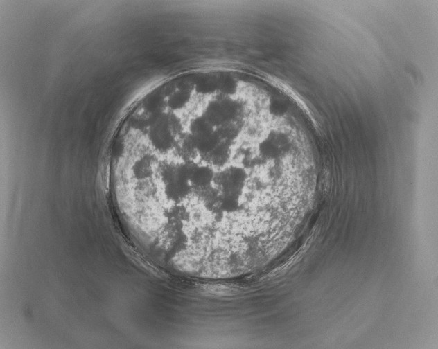 X0000115371413200912151409